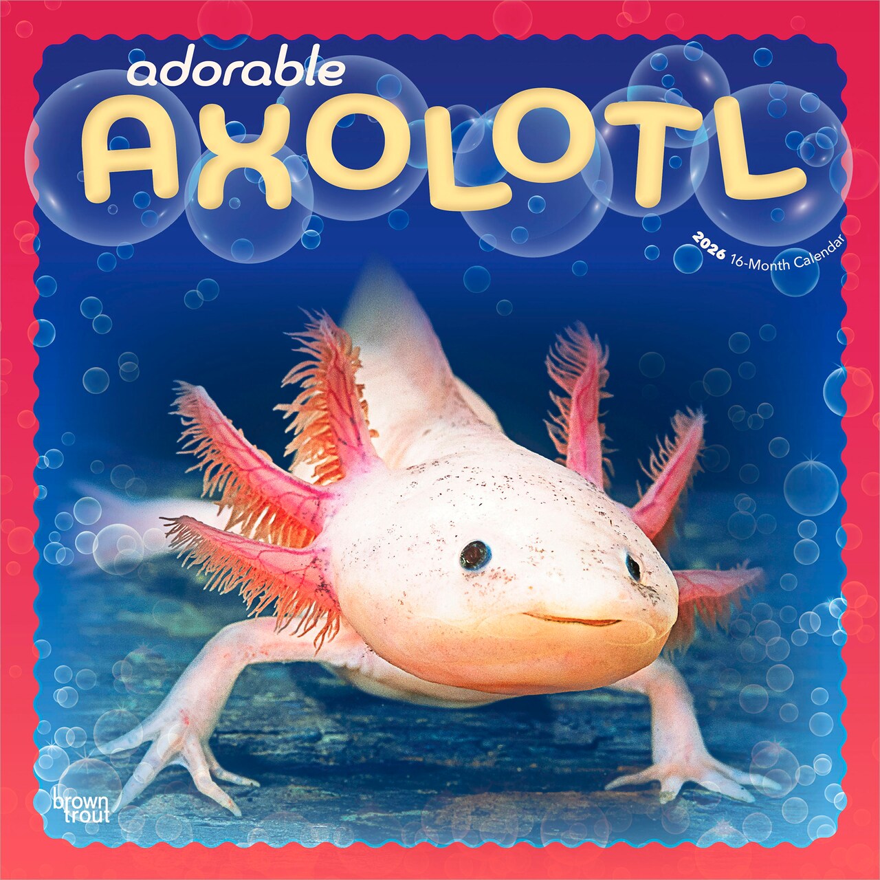 Adorable Axolotl | 2026 12 x 24 Inch (Hanging) Monthly Square Wall Calendar | Plastic-Free